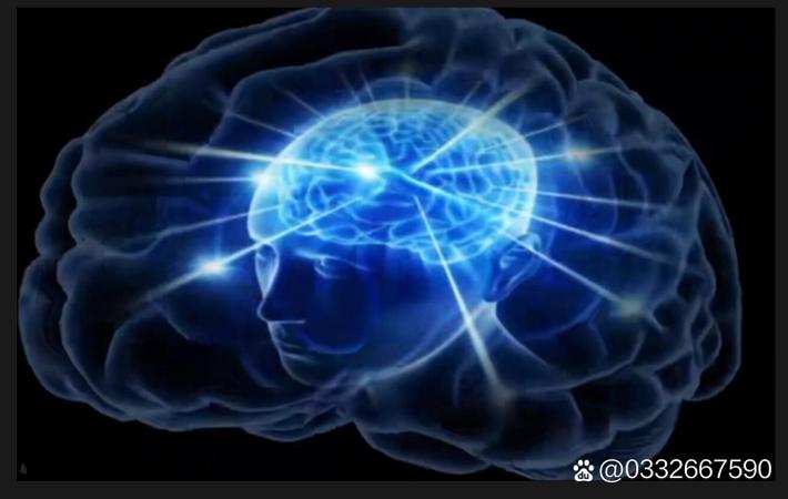 地震灾区现场直击：救援队与时间赛跑